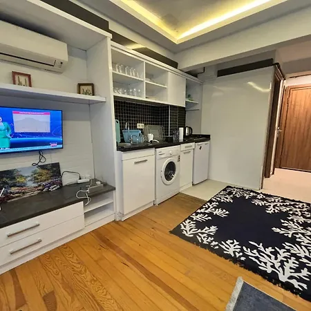Charming Semi-basement Steps From Taksim Square No 1 * イスタンブール