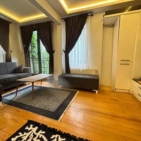 Charming Semi-basement Steps From Taksim Square No 1 アパート イスタンブール