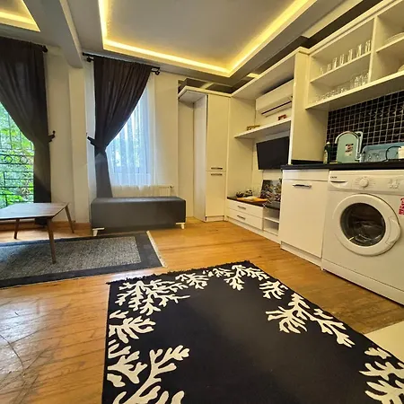 Charming Semi-basement Steps From Taksim Square No 1 アパート *