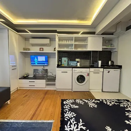 Charming Semi-basement Steps From Taksim Square No 1 דירה *